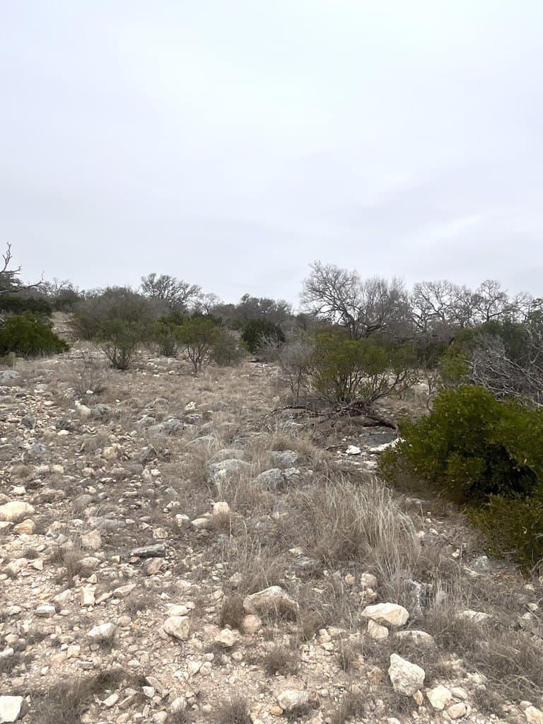 34.27 acres in Edwards County gallery image 4