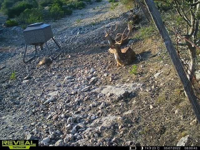34.27 acres in Edwards County - photo 52