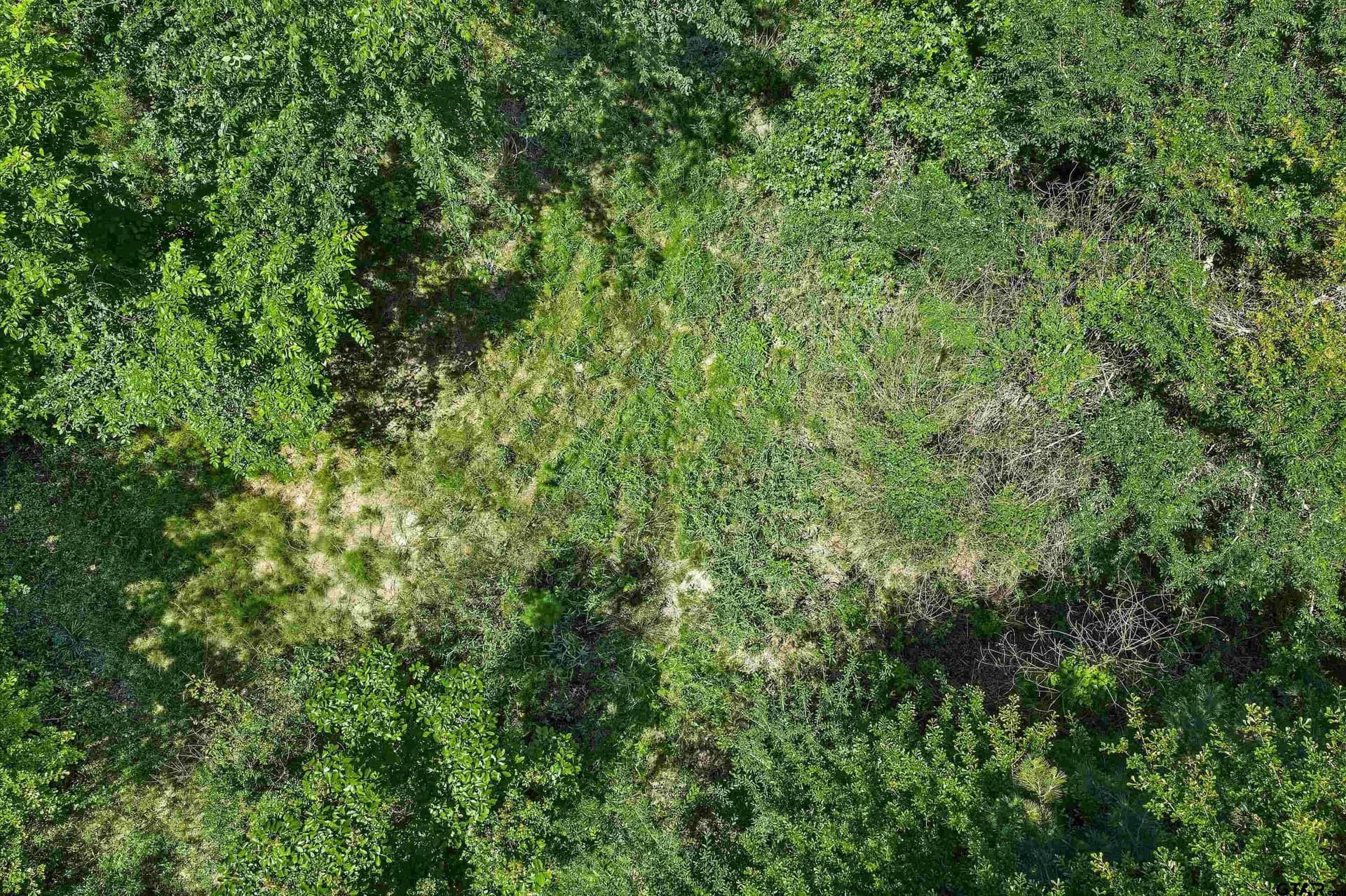 106 acres in Panola County - photo 13