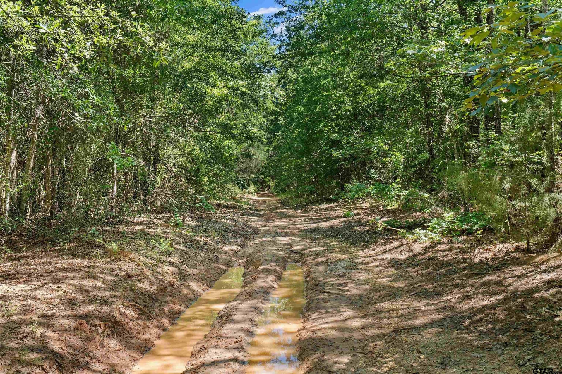 106 acres in Panola County - photo 9