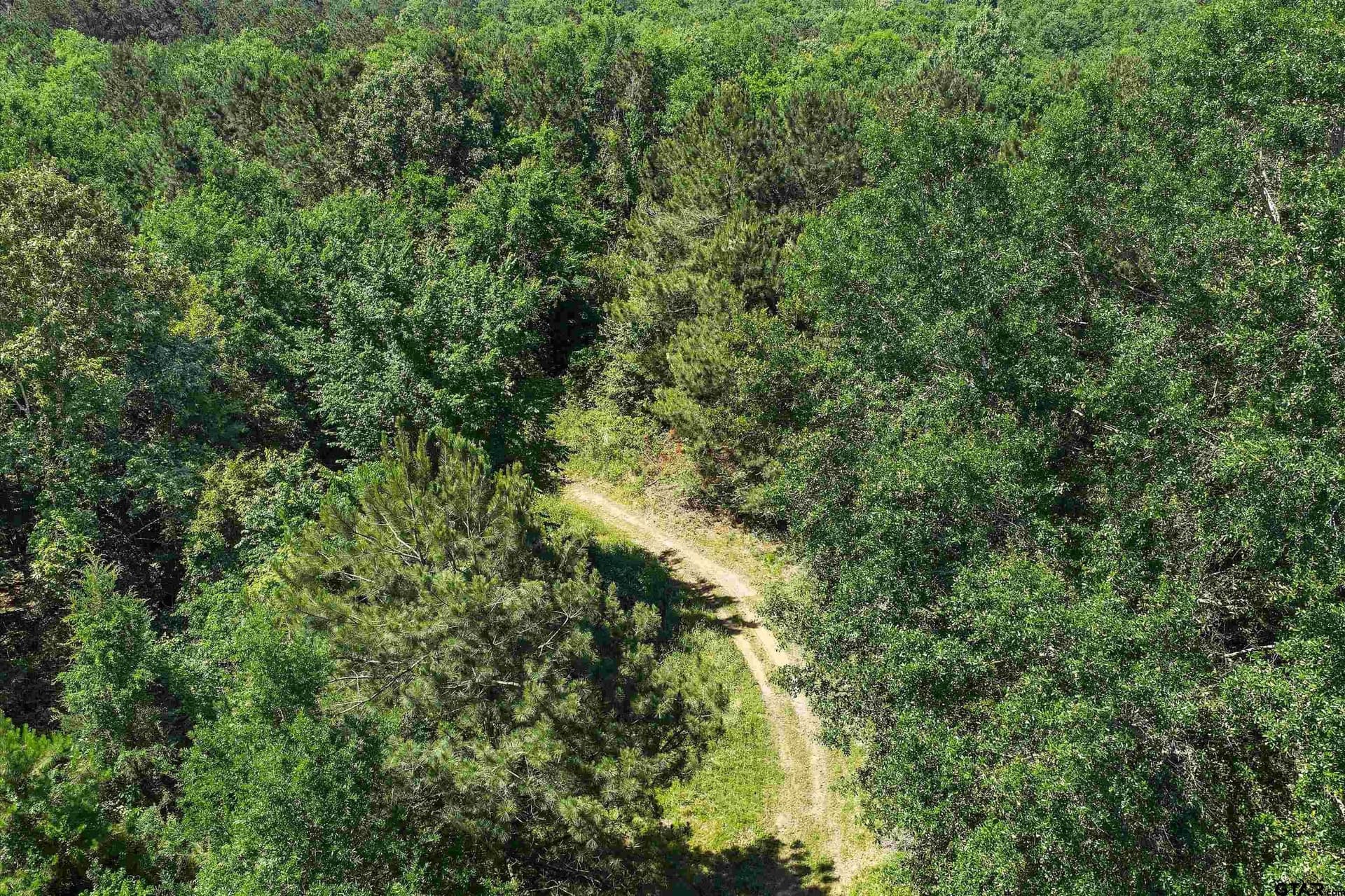 106 acres in Panola County - photo 7