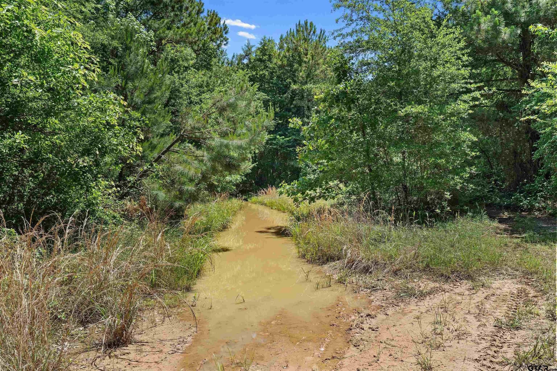 106 acres in Panola County - photo 21