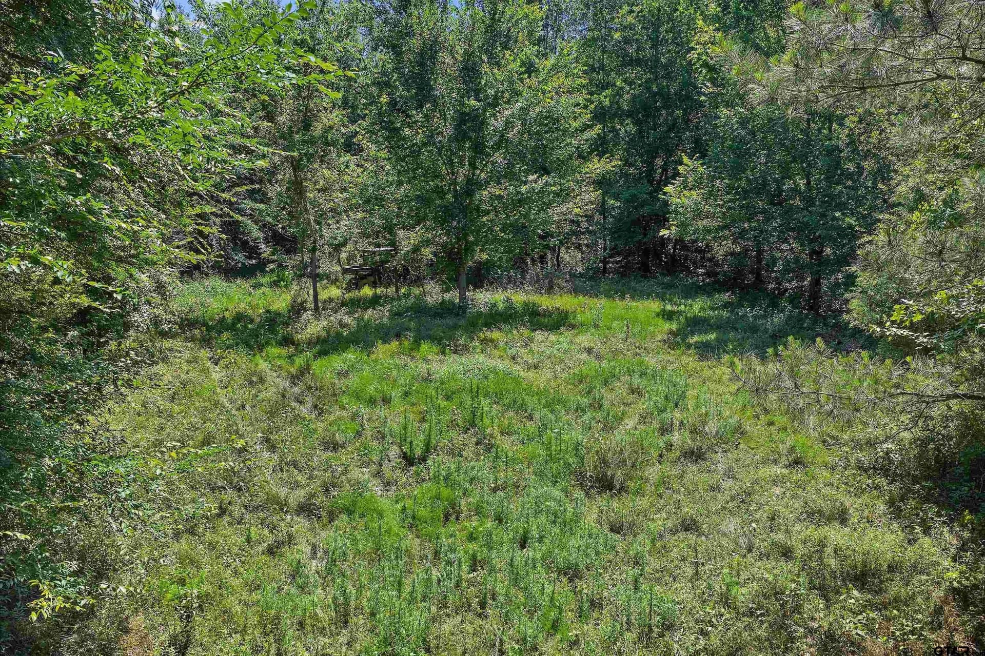 106 acres in Panola County - photo 15