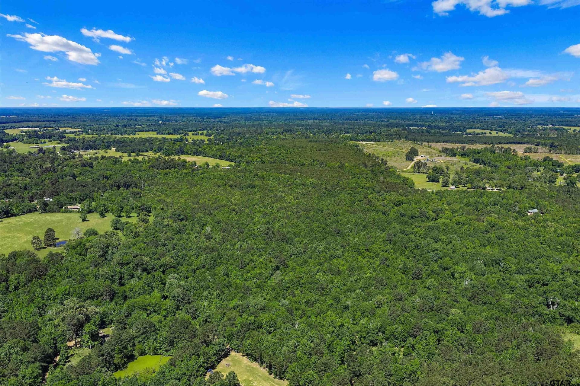 106 acres in Panola County gallery image 2