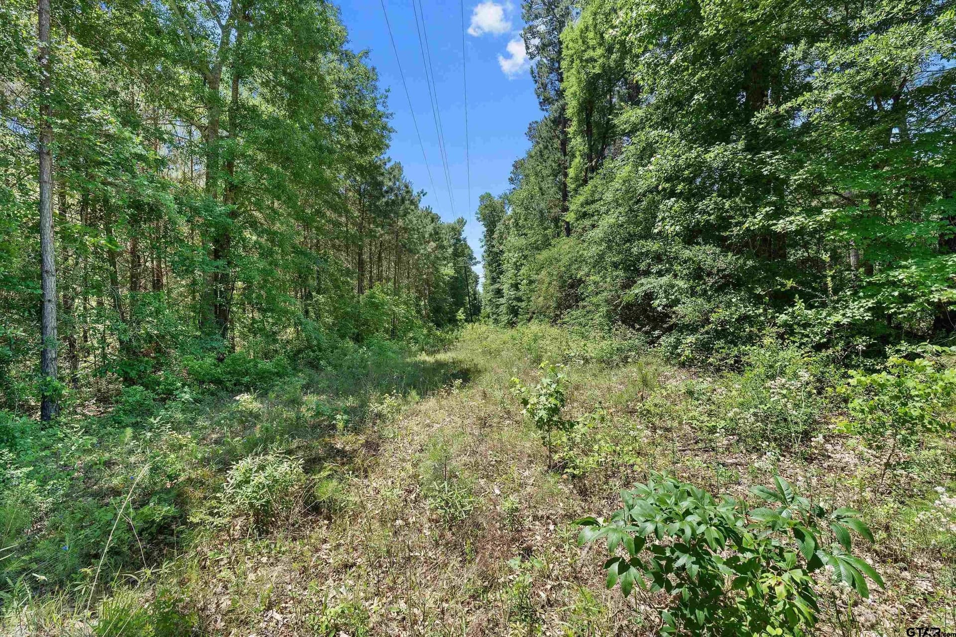 106 acres in Panola County - photo 24