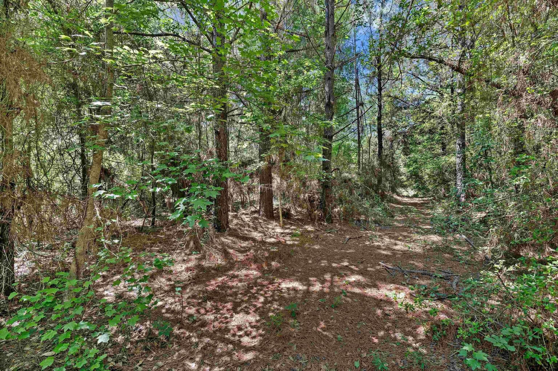 106 acres in Panola County - photo 23