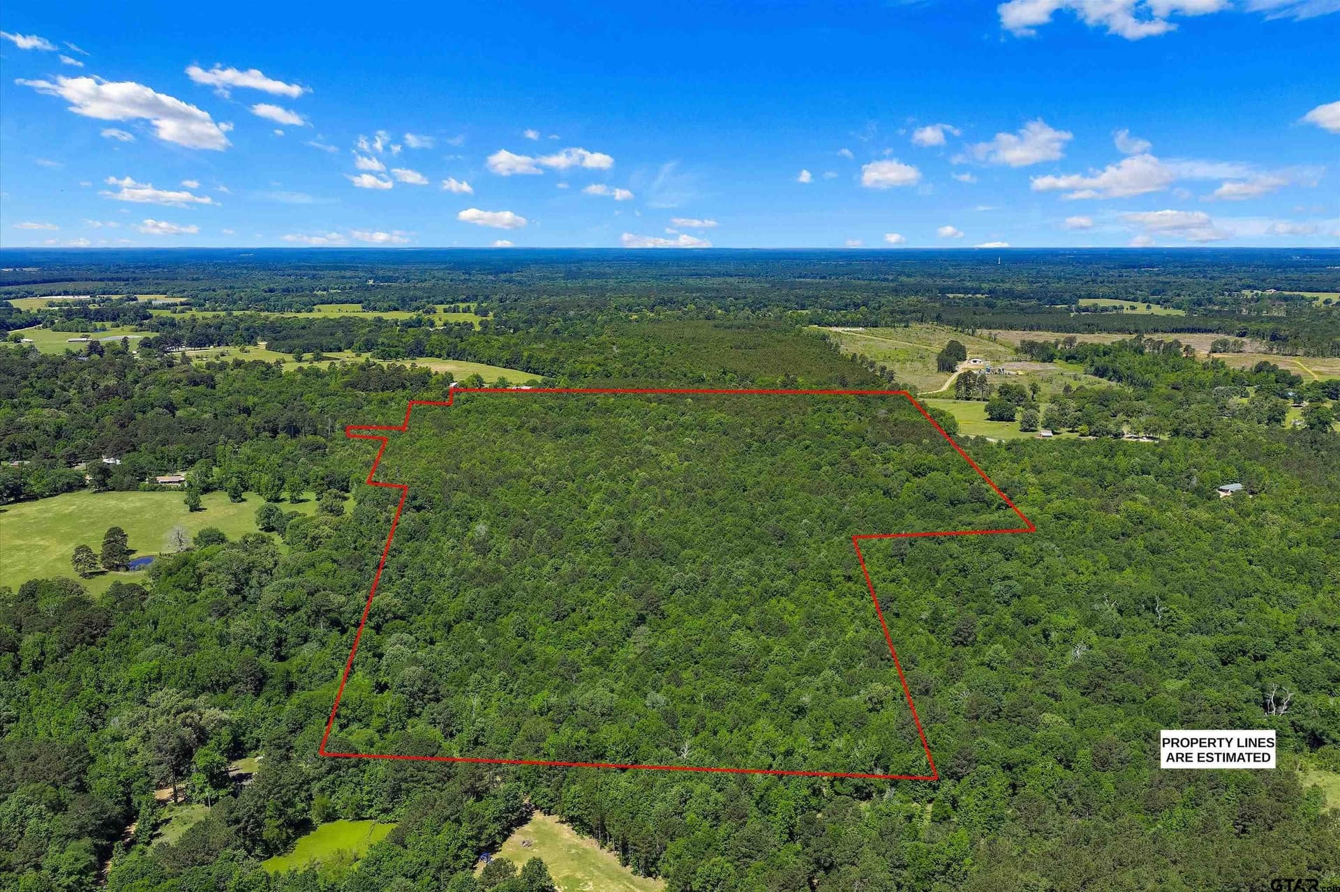 106 acres in Panola County featured view