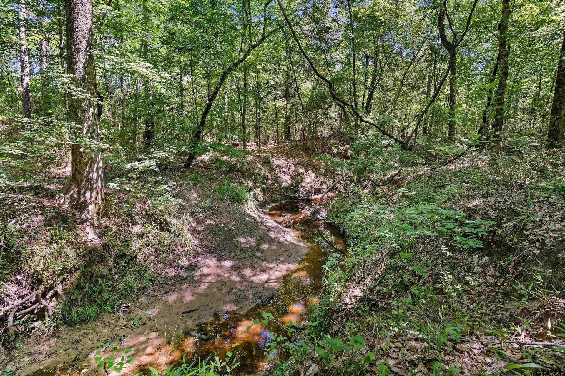 106 acres in Panola County - photo 19