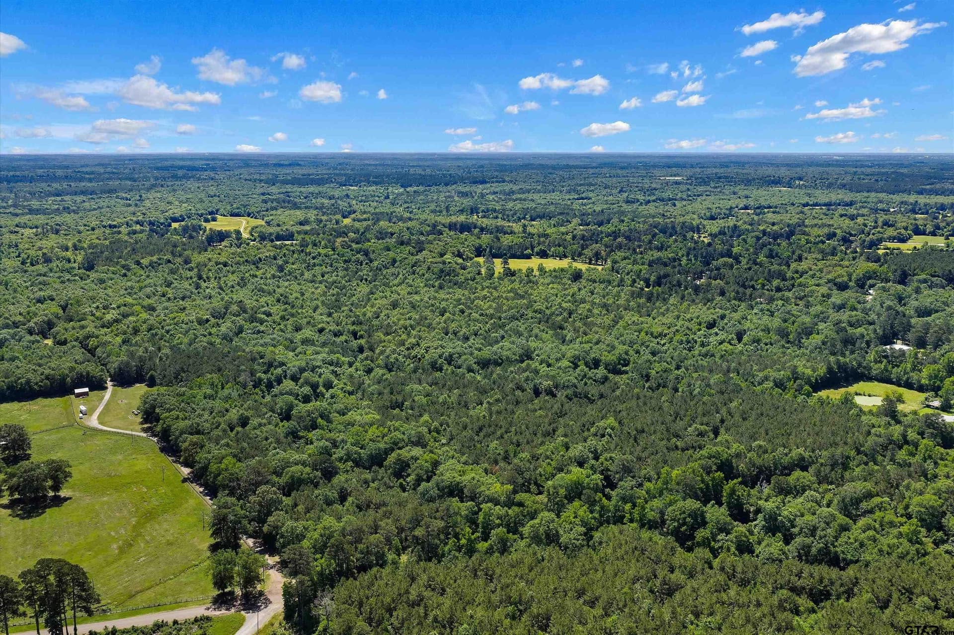 106 acres in Panola County gallery image 3