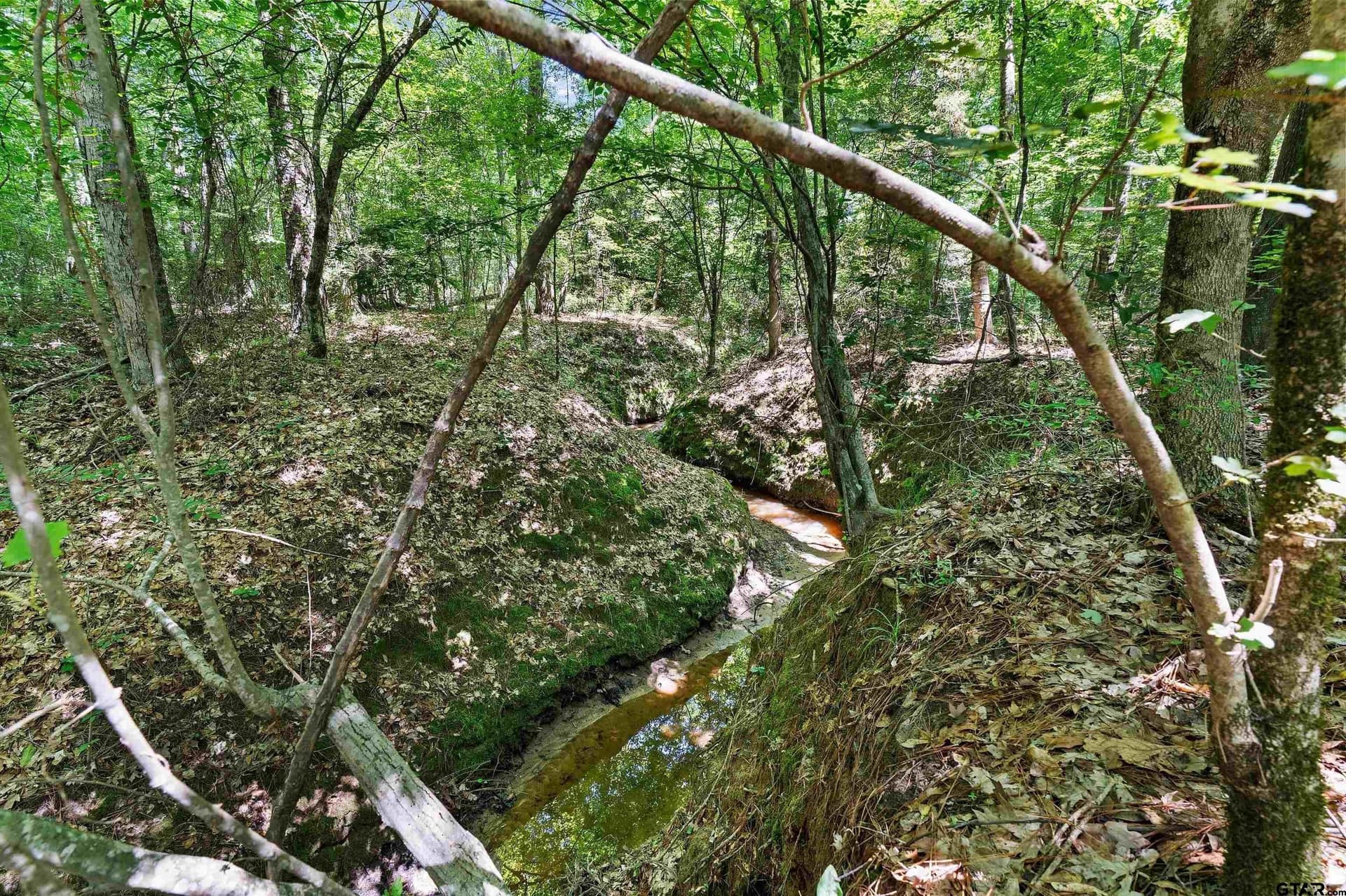 106 acres in Panola County - photo 14