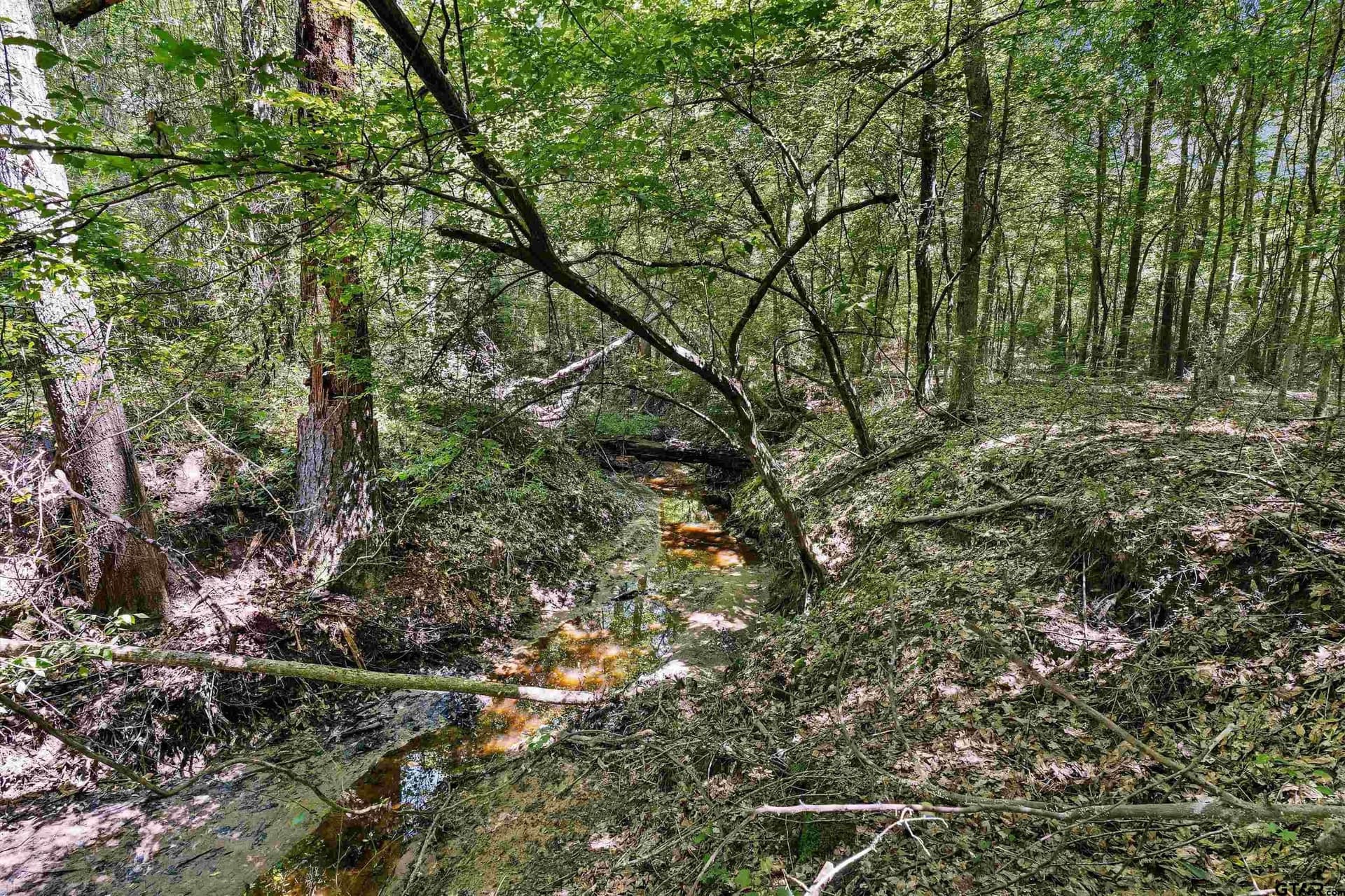 106 acres in Panola County - photo 18