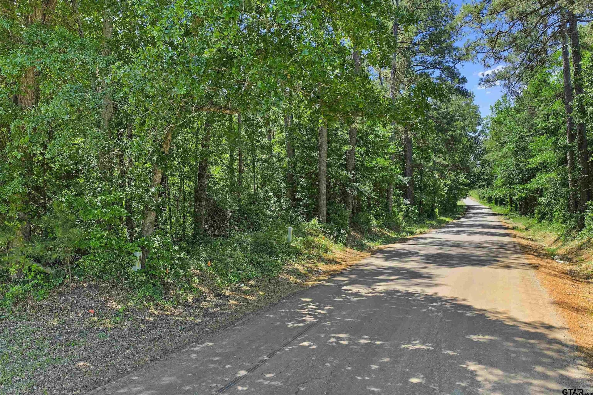 106 acres in Panola County - photo 27