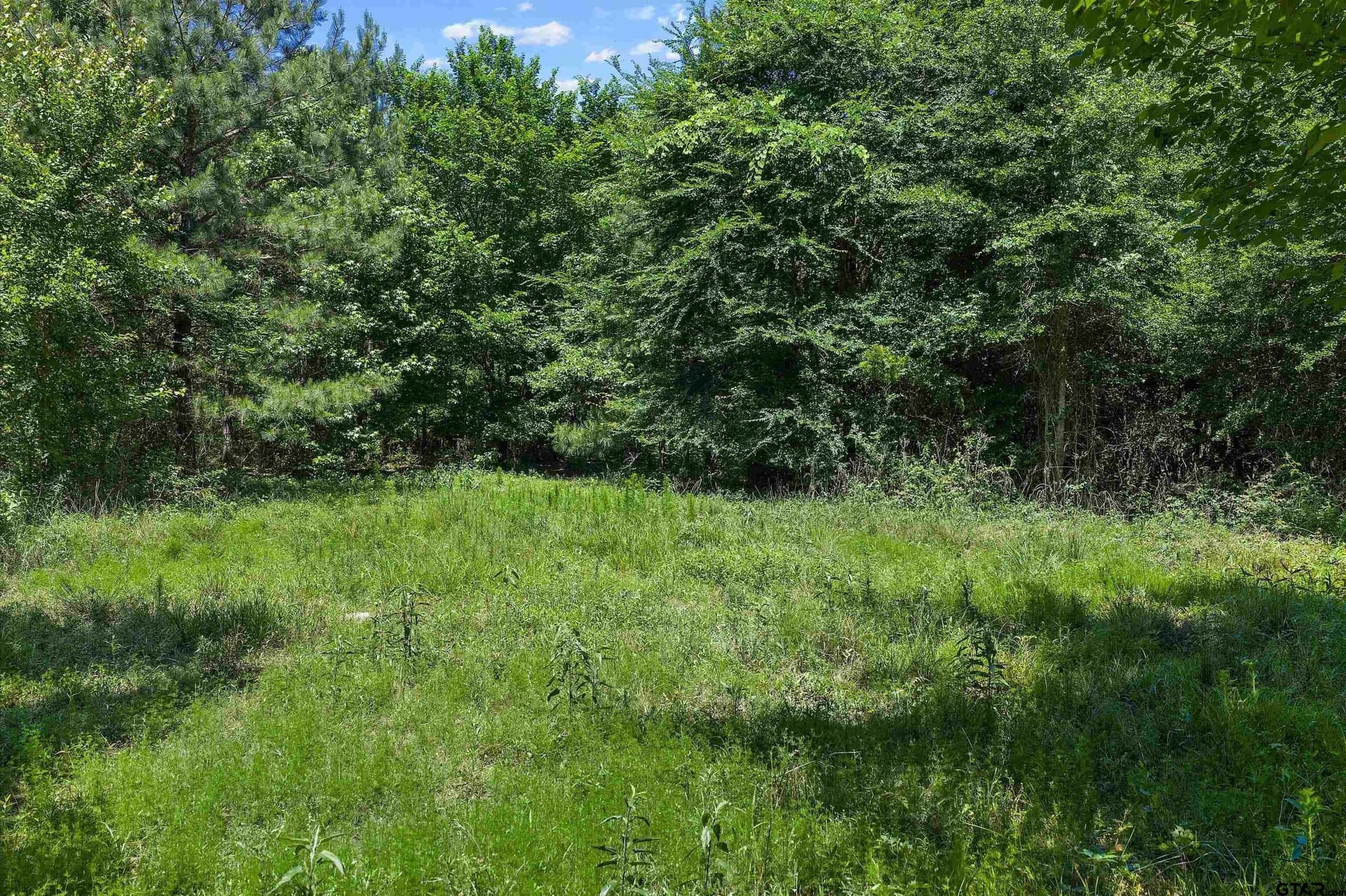 106 acres in Panola County - photo 16
