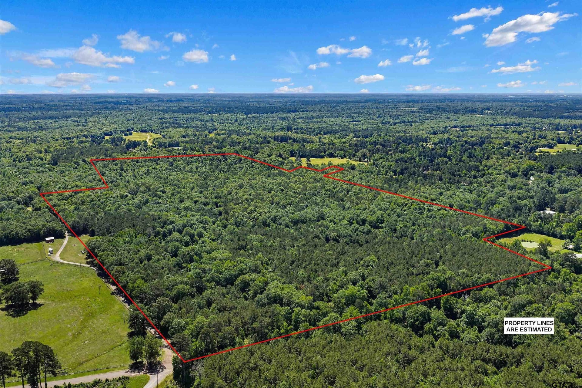 106 acres in Panola County gallery image 4
