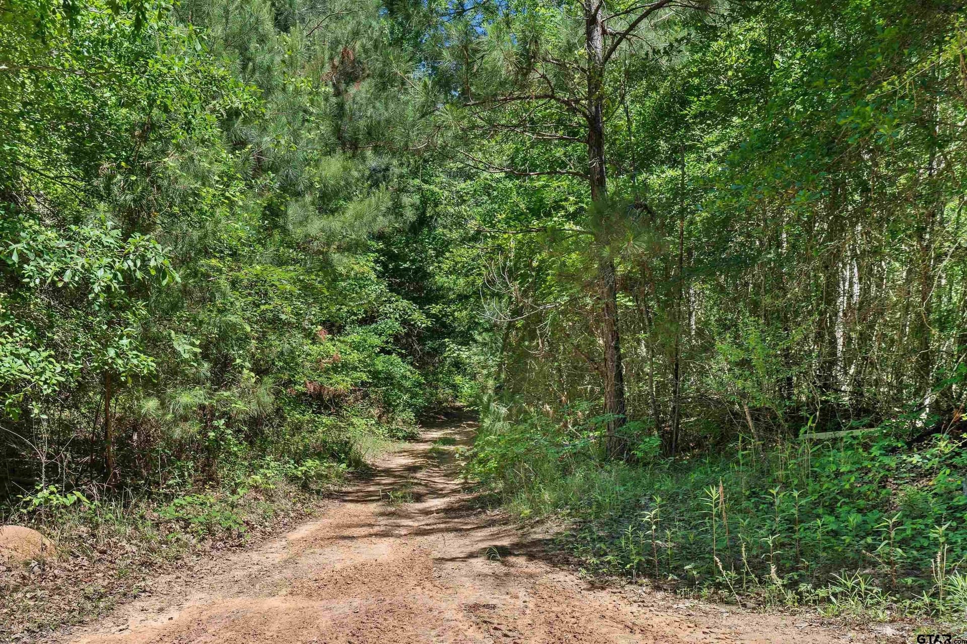 106 acres in Panola County - photo 8