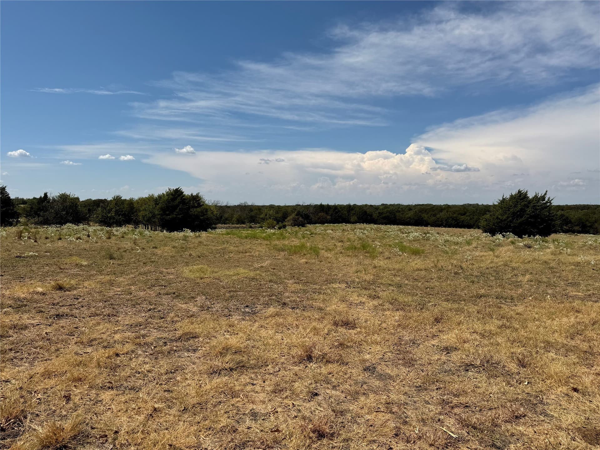 18 acres in Collin County - photo 2
