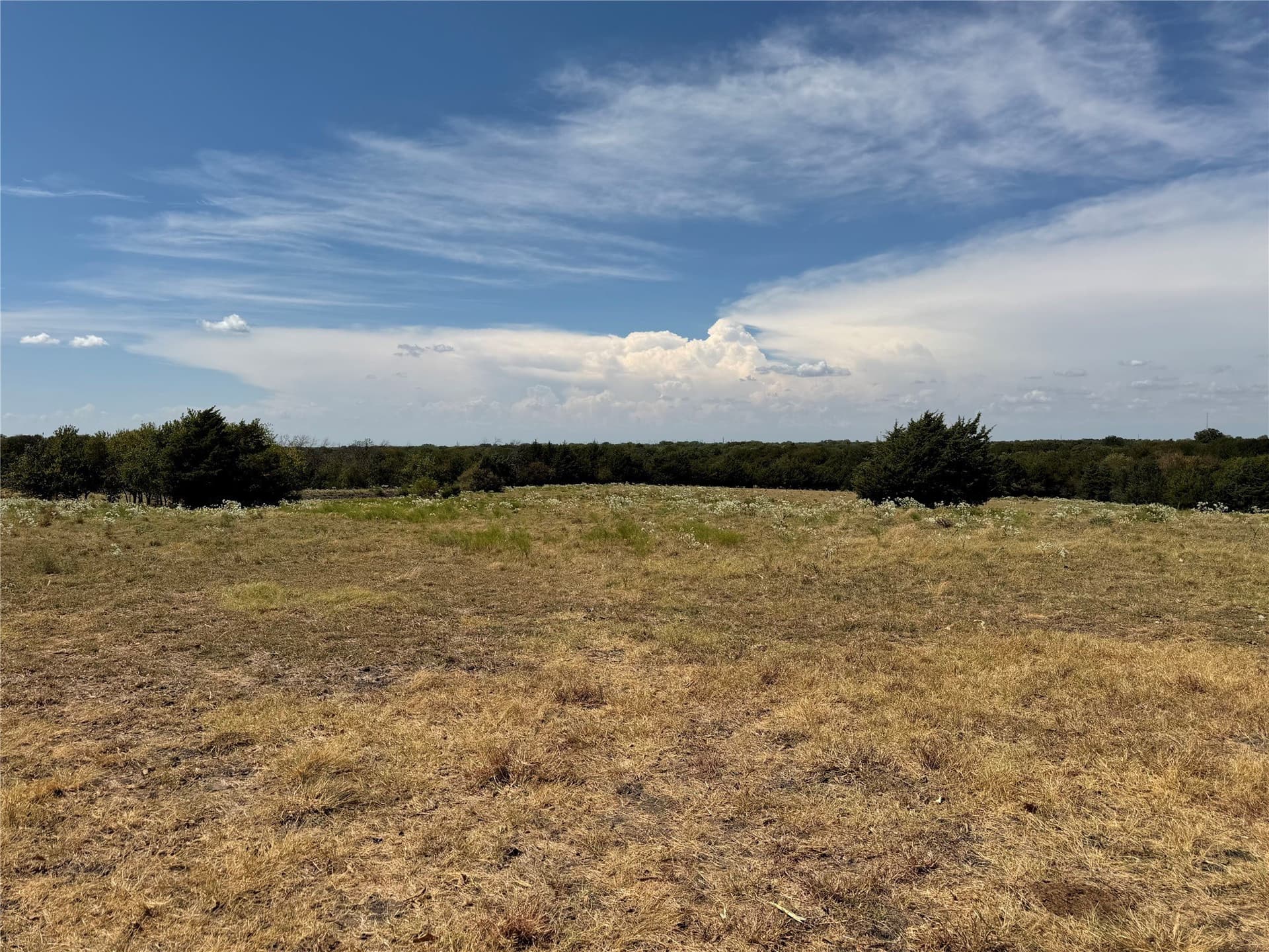 18 acres in Collin County - photo 4