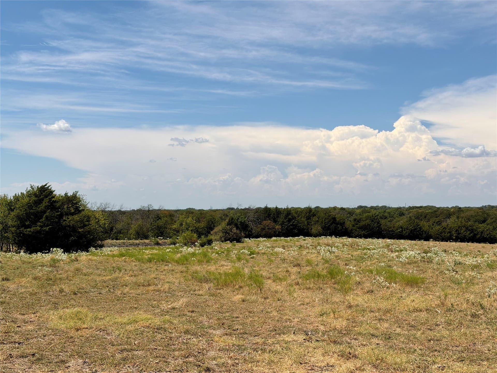 18 acres in Collin County - photo 5