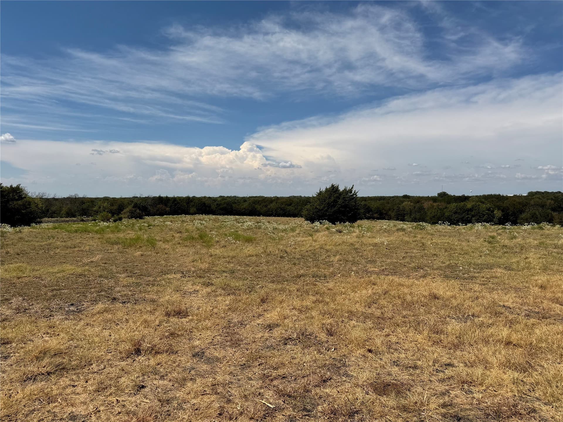 18 acres in Collin County - photo 3