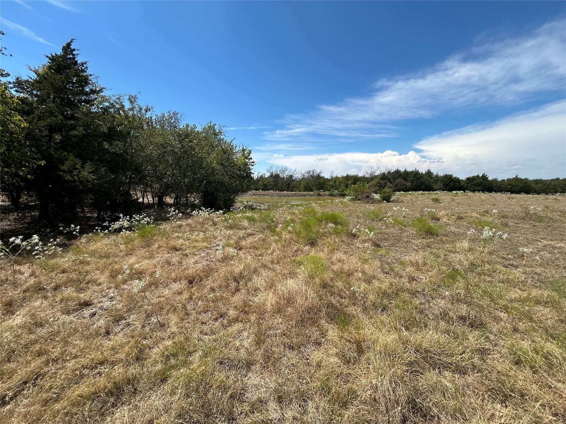 18 acres in Collin County - photo 6