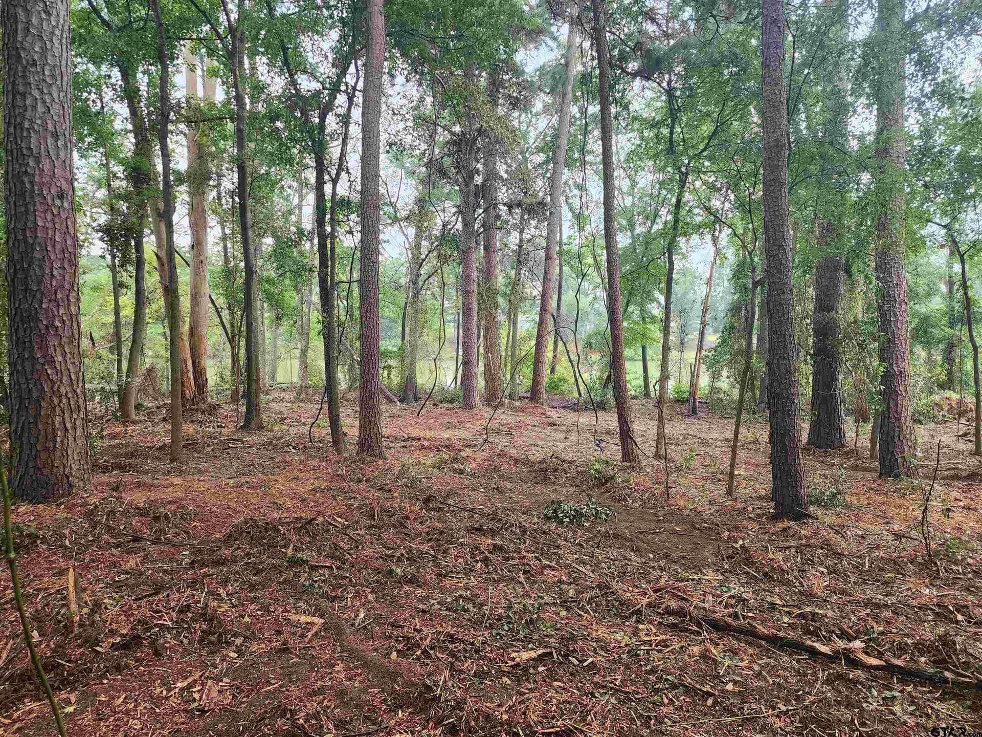 2.06 acres in Camp County gallery image 2