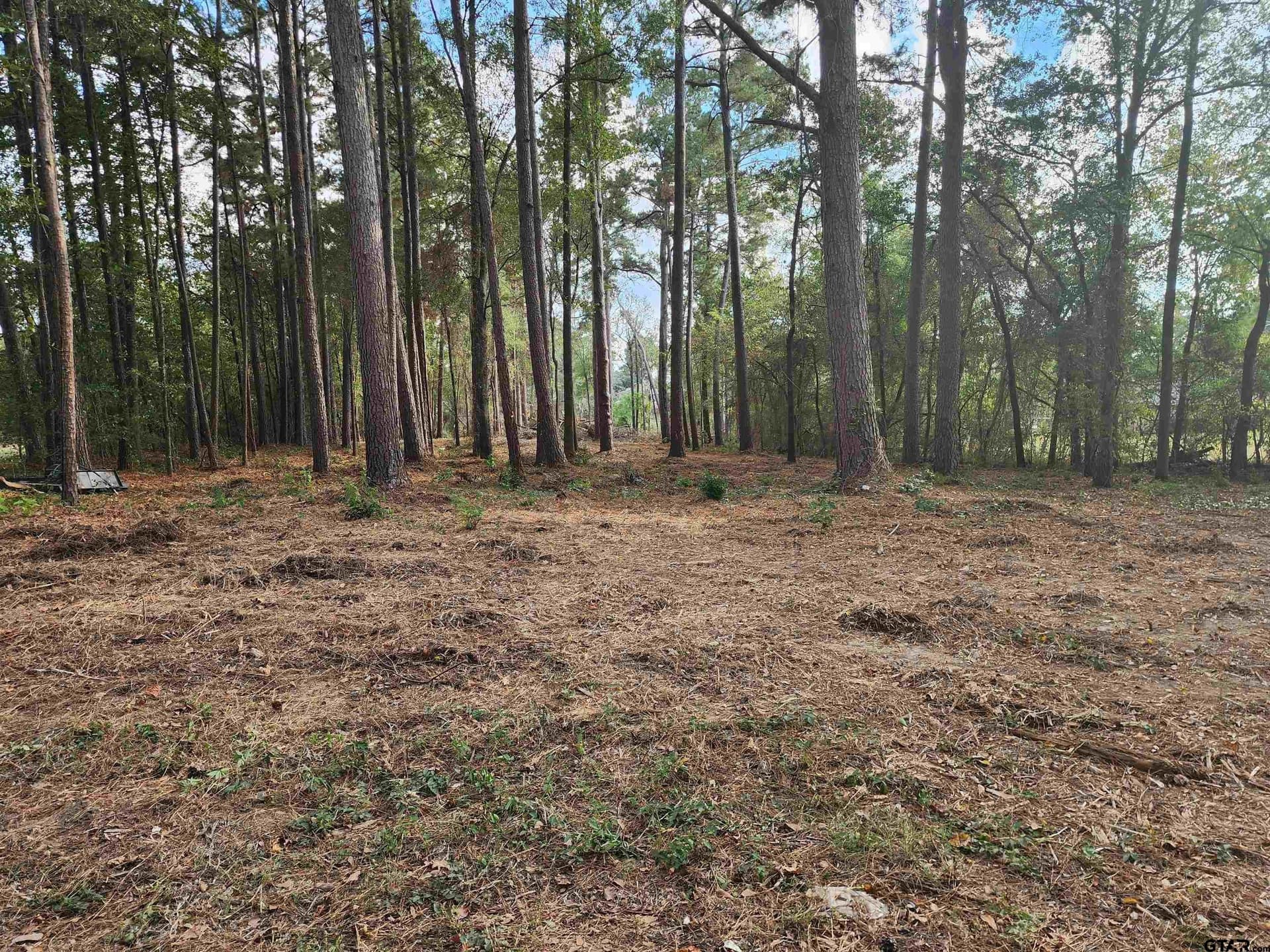 2.06 acres in Camp County gallery image 4