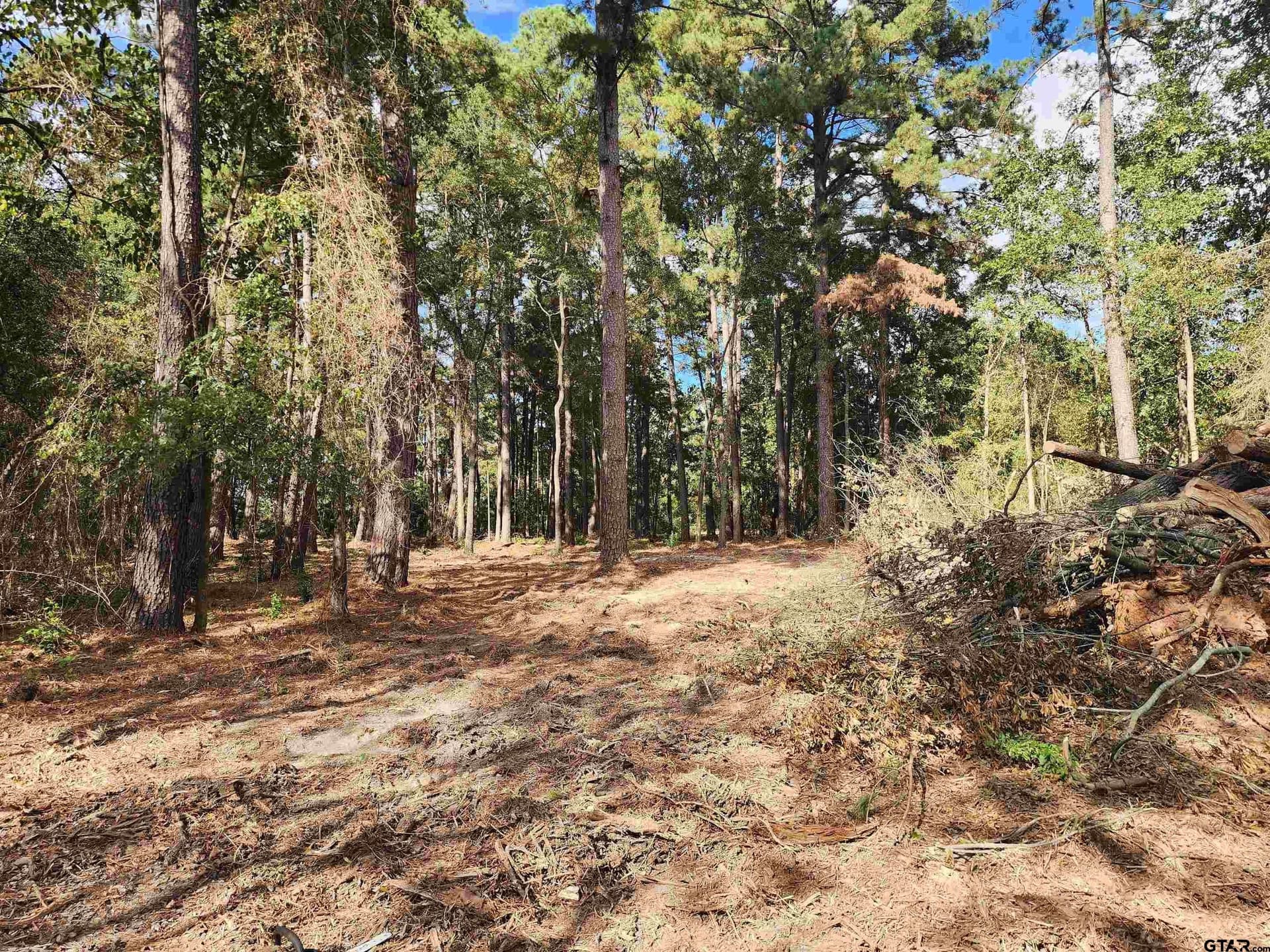 2.06 acres in Camp County - photo 6