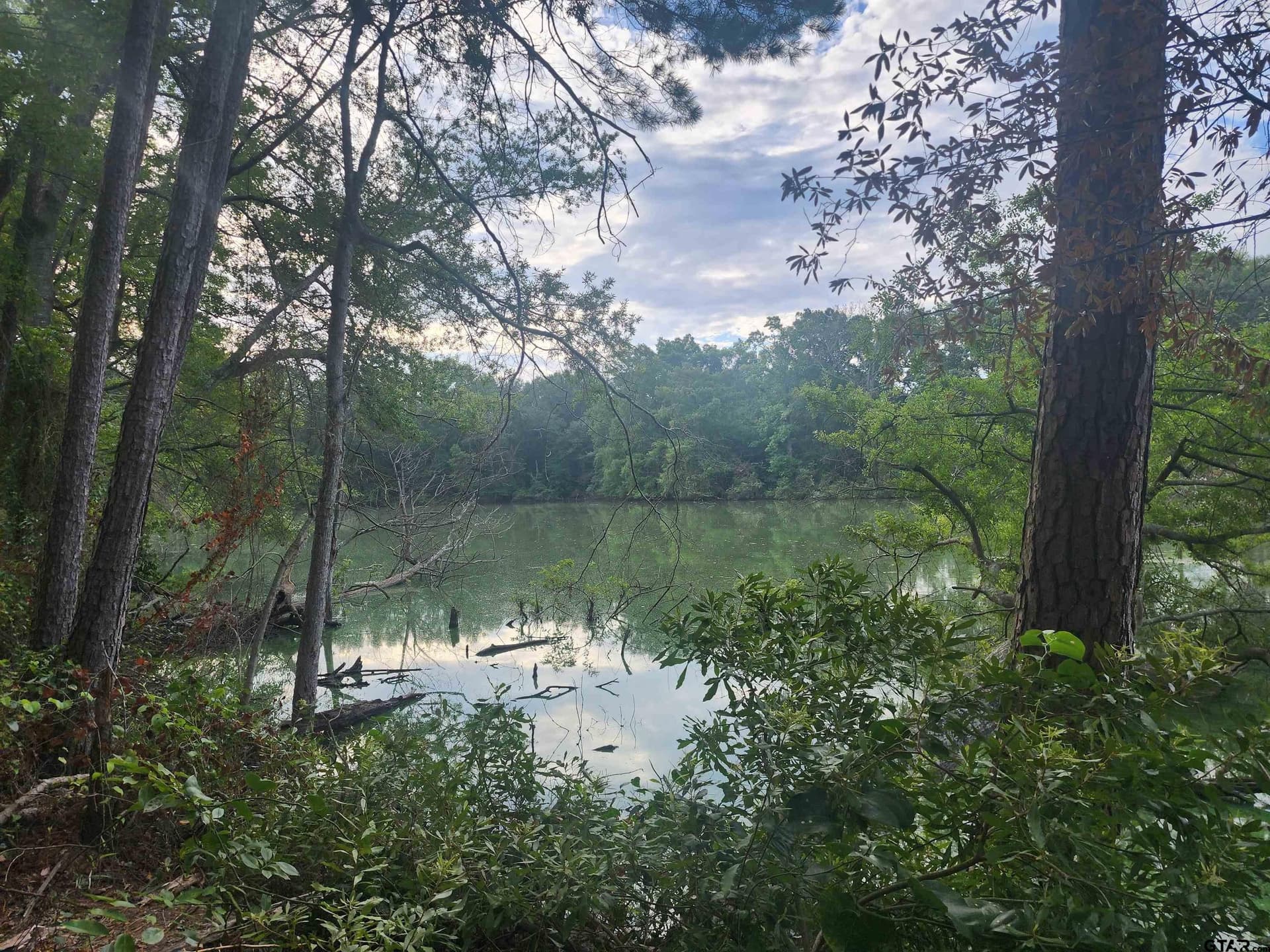 2.06 acres in Camp County gallery image 3