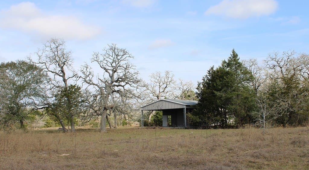 11 acres in Colorado County gallery image 4
