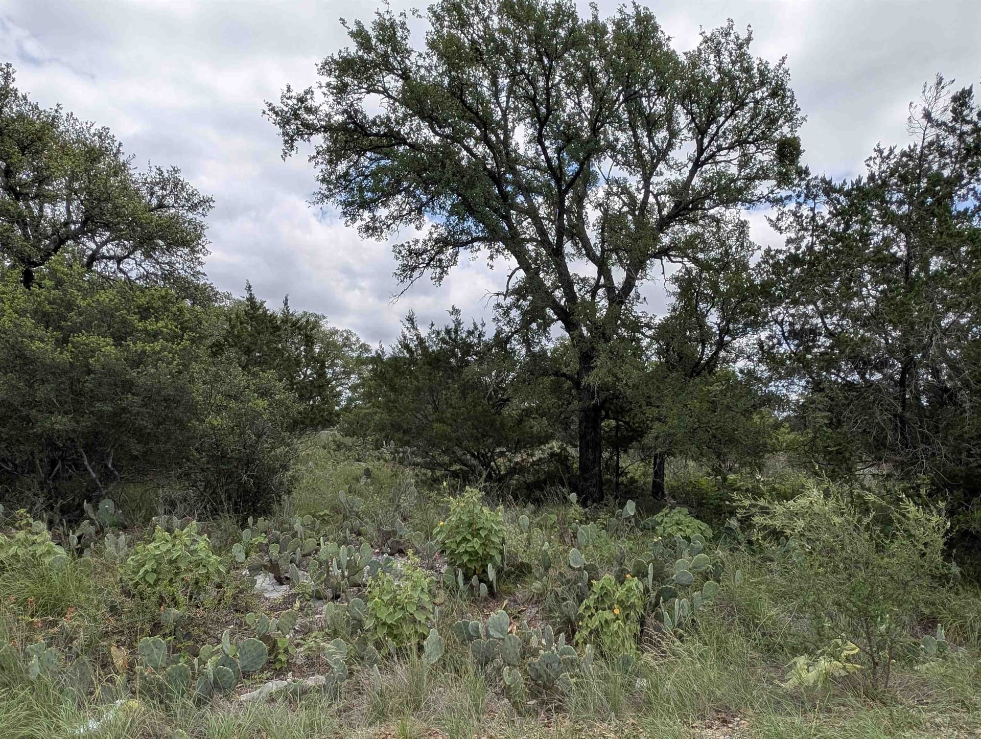 0.75 acres in Llano County gallery image 3
