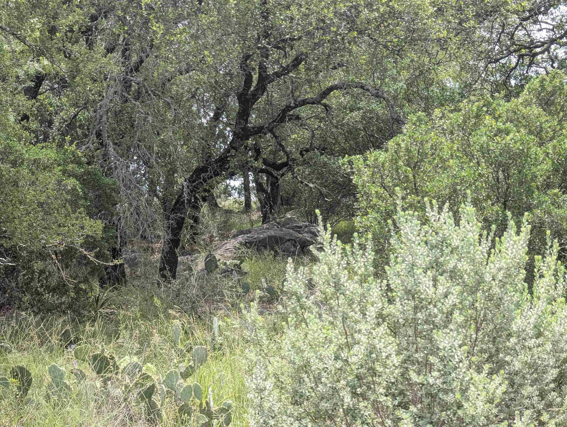0.75 acres in Llano County featured view