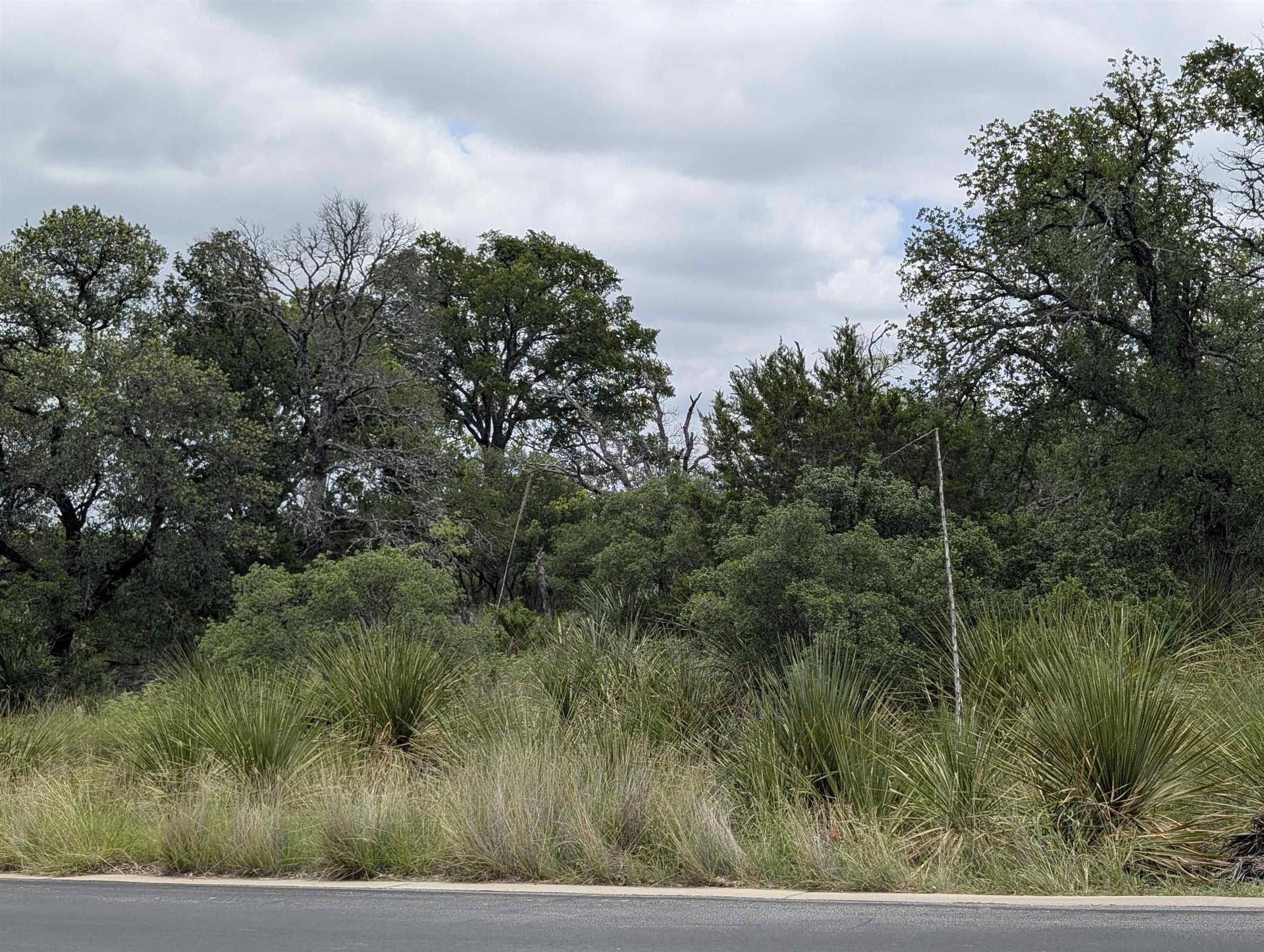 0.75 acres in Llano County gallery image 4