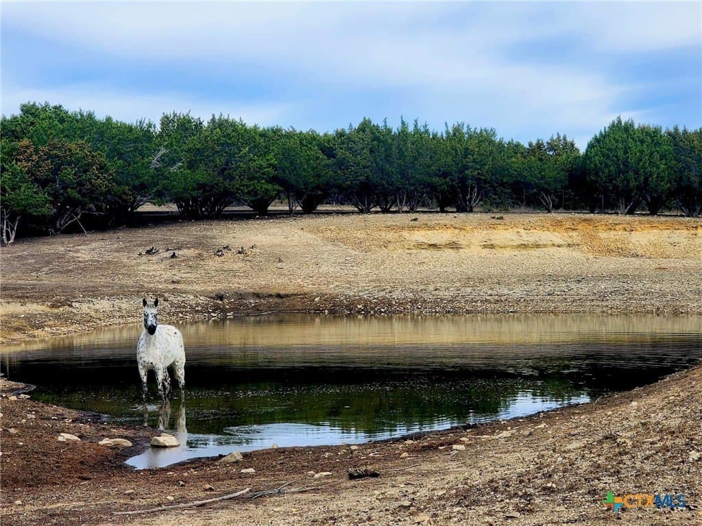 207 acres in Burnet County gallery image 4
