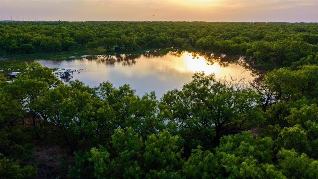 489 acres in Young County featured view