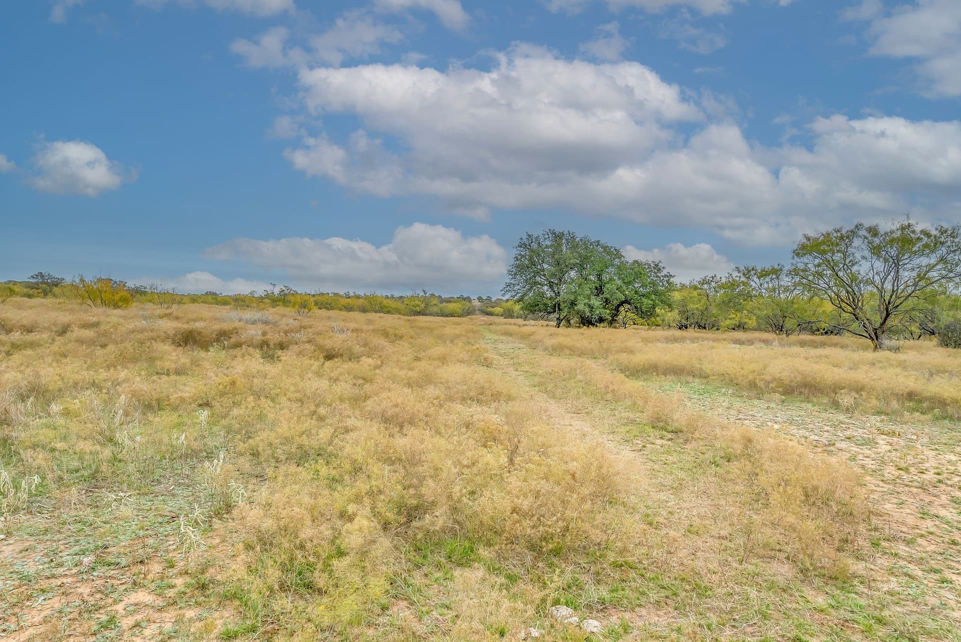 191 acres in Eastland County - photo 12