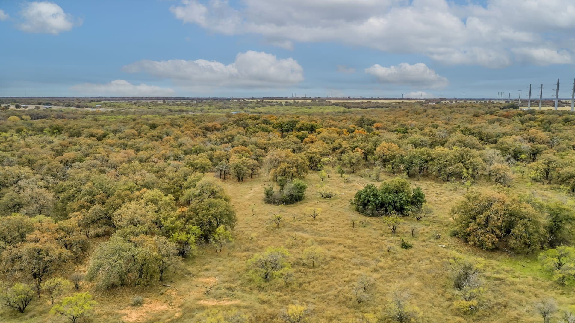191 acres in Eastland County - photo 13