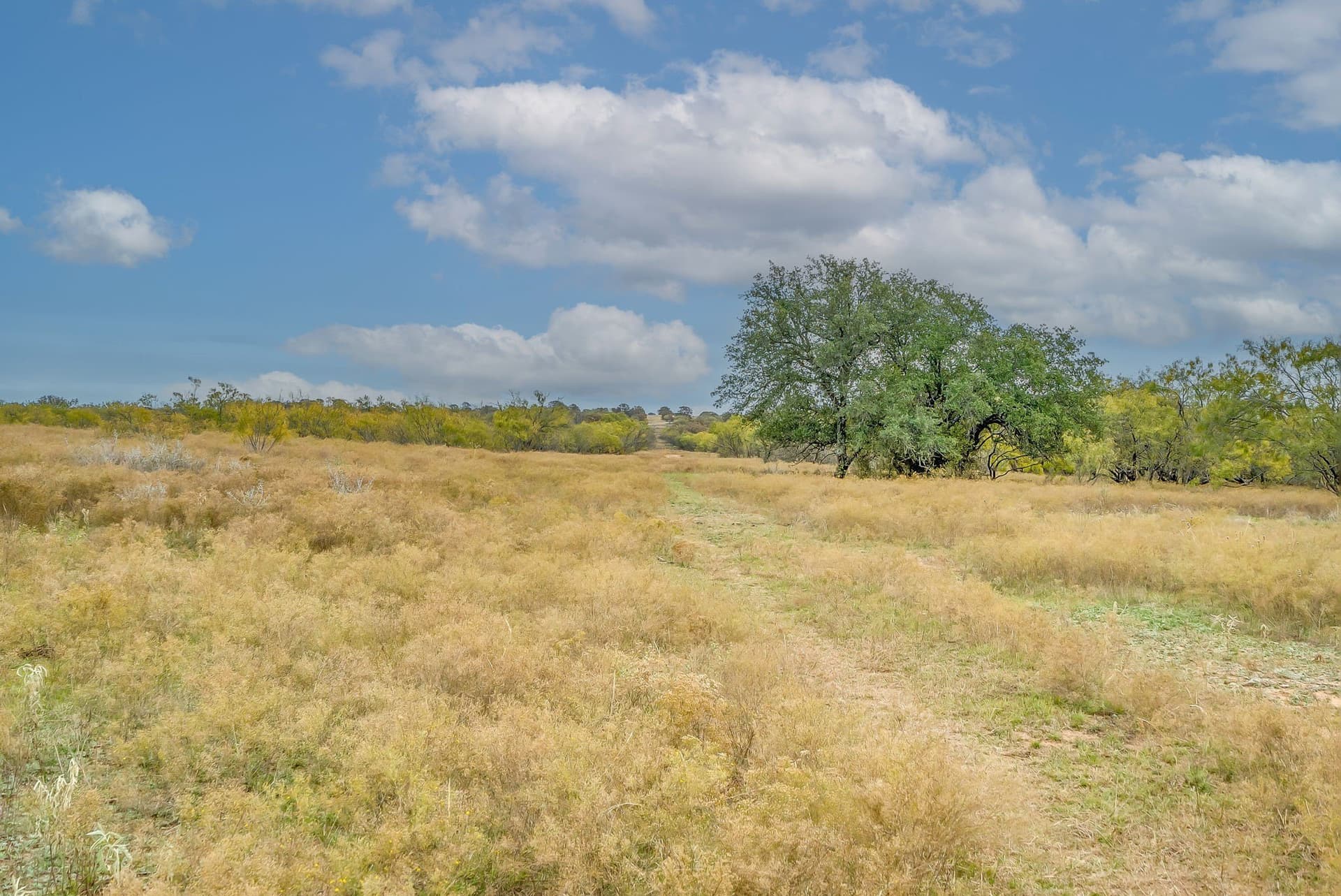 191 acres in Eastland County - photo 10