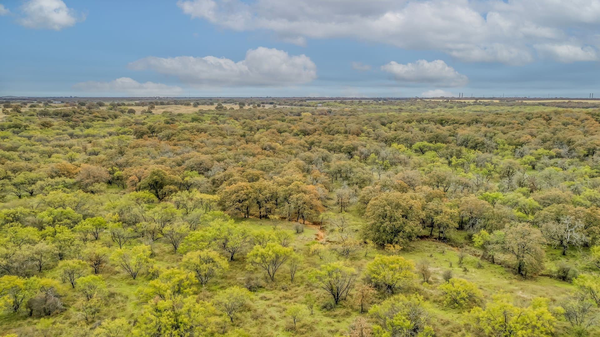 191 acres in Eastland County - photo 6