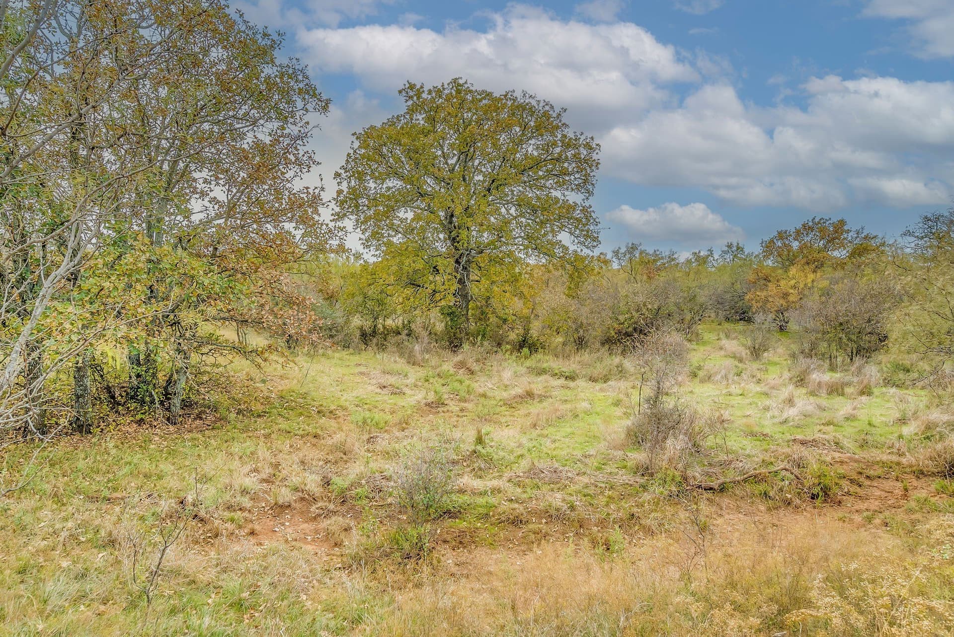 191 acres in Eastland County - photo 8