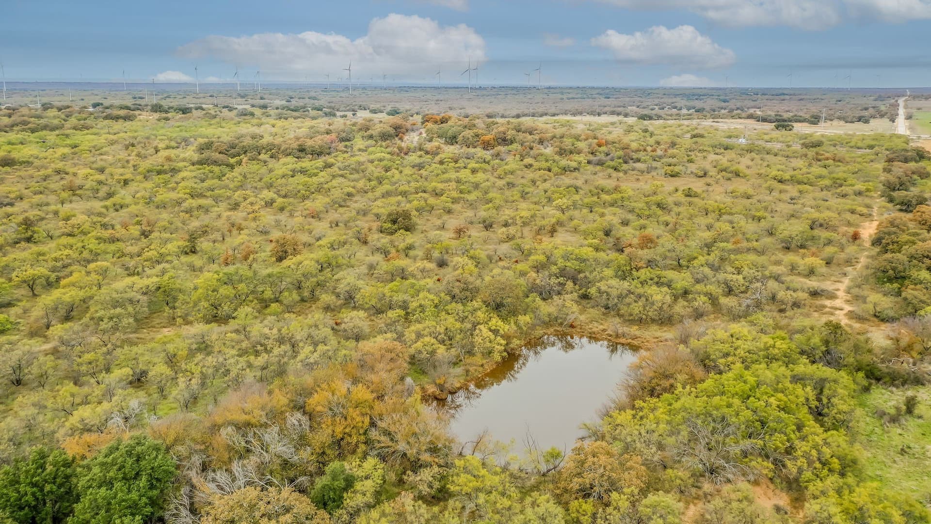 191 acres in Eastland County - photo 15