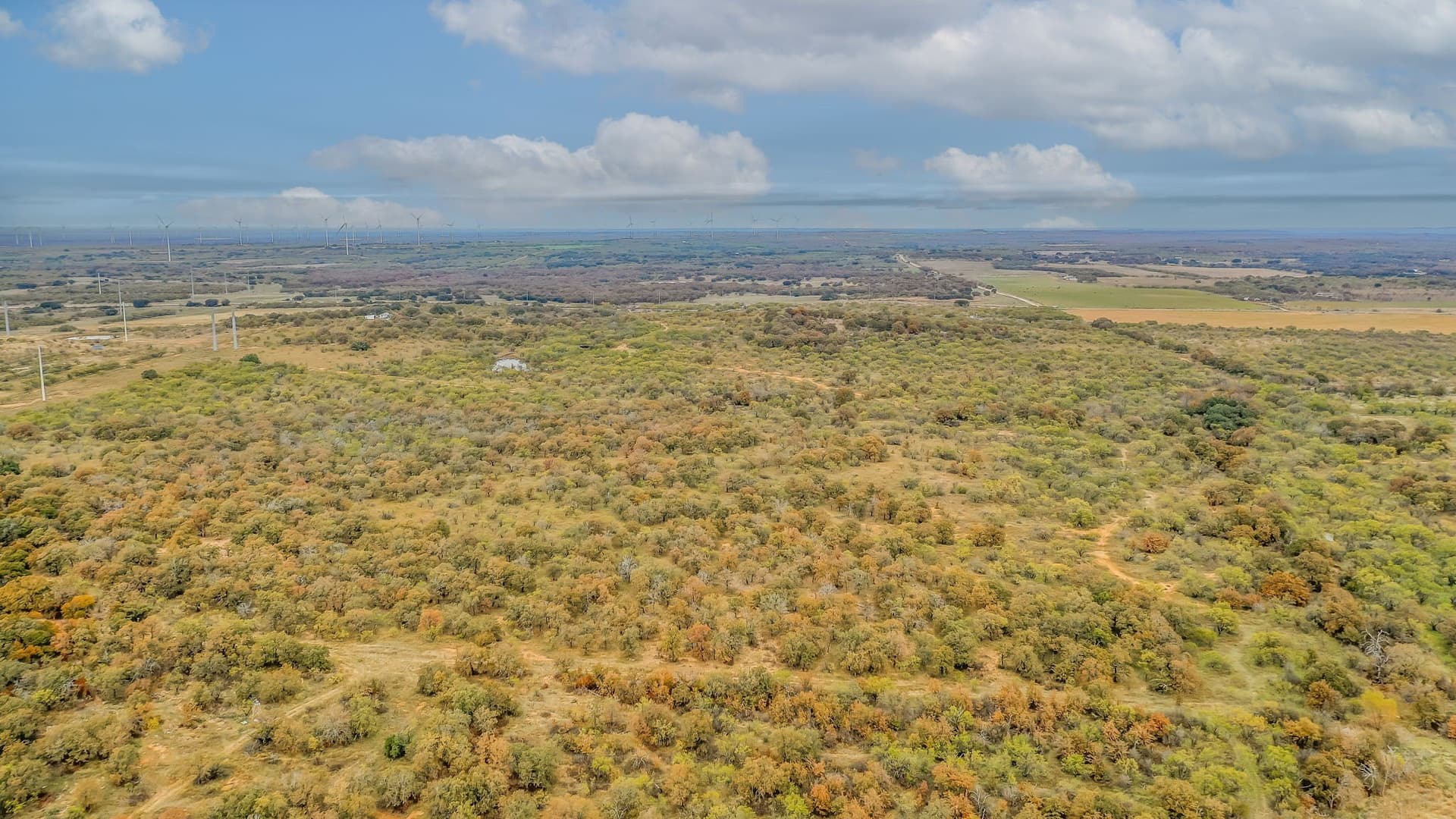 191 acres in Eastland County - photo 20