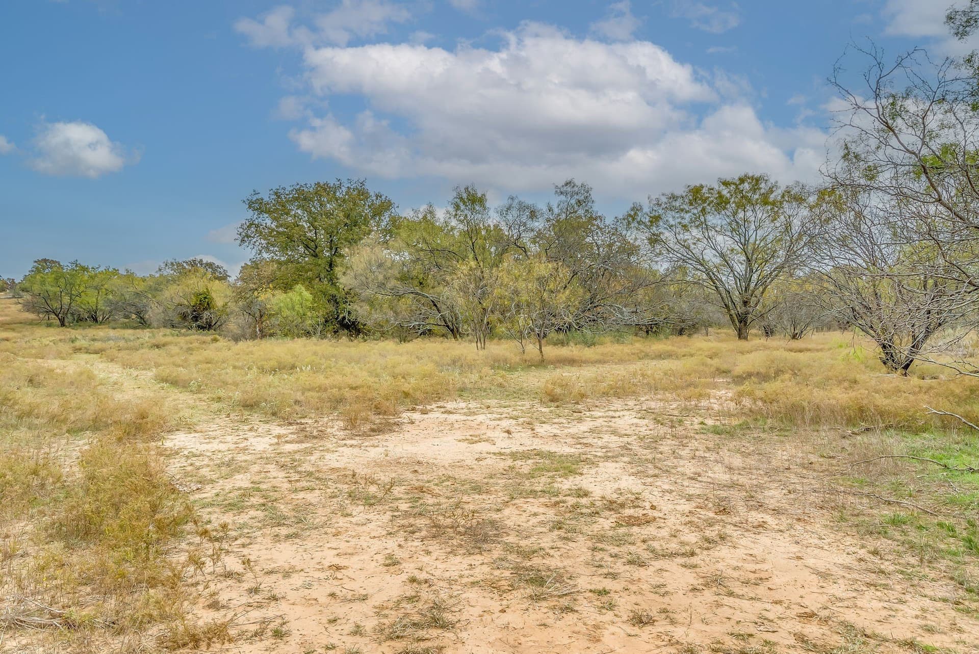 191 acres in Eastland County - photo 14