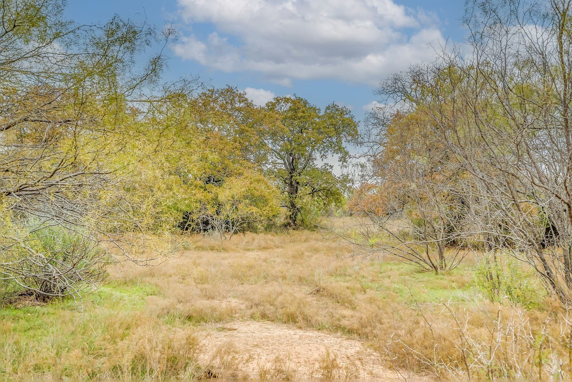 191 acres in Eastland County - photo 11