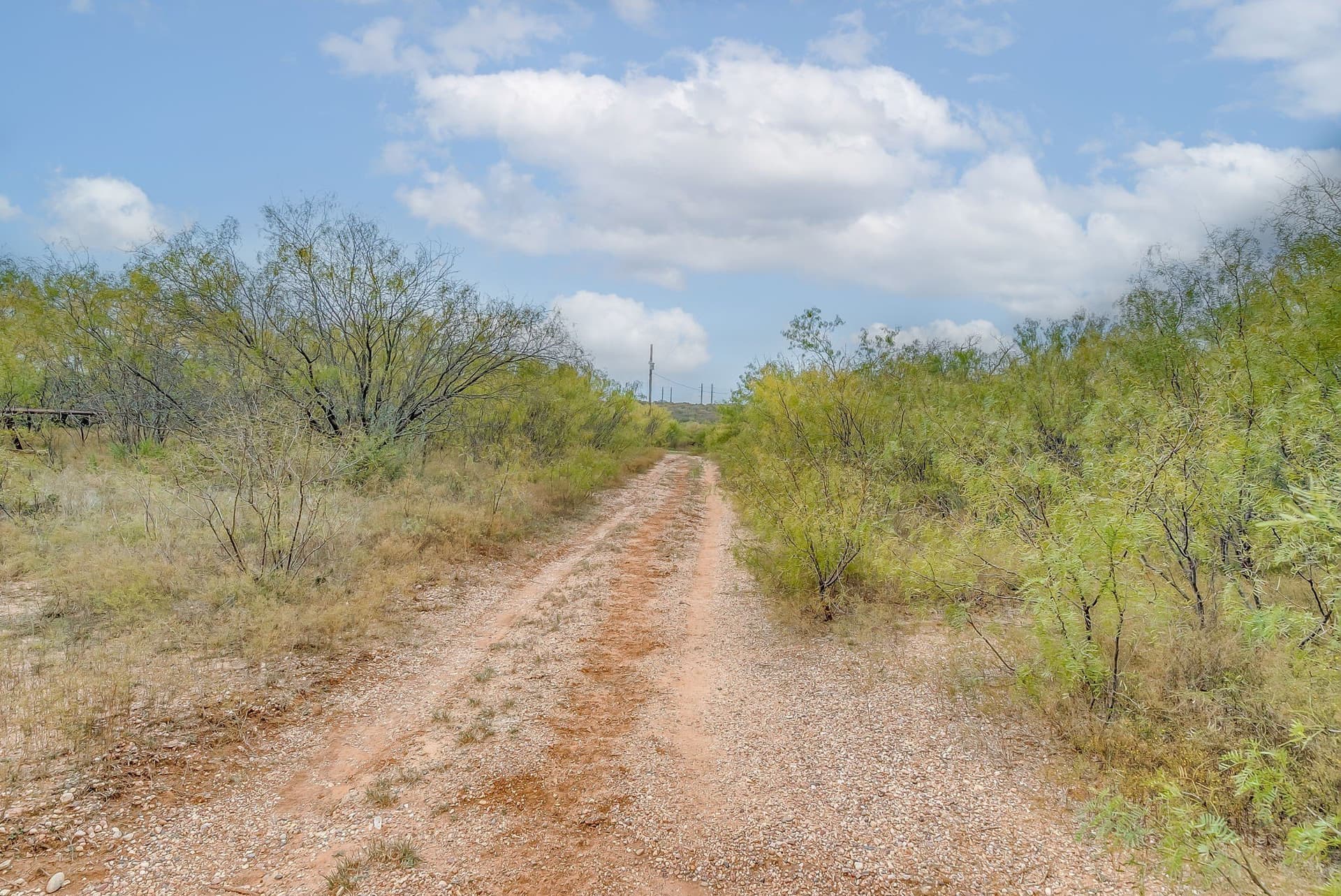 191 acres in Eastland County - photo 18