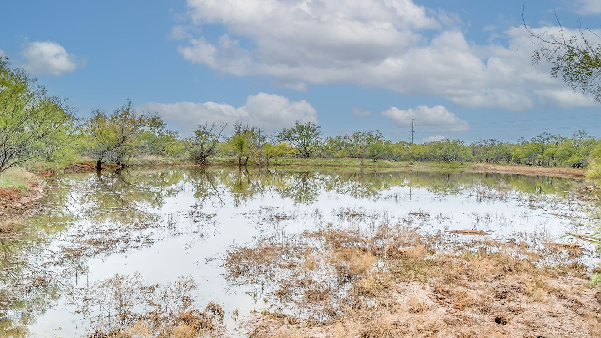 191 acres in Eastland County - photo 4