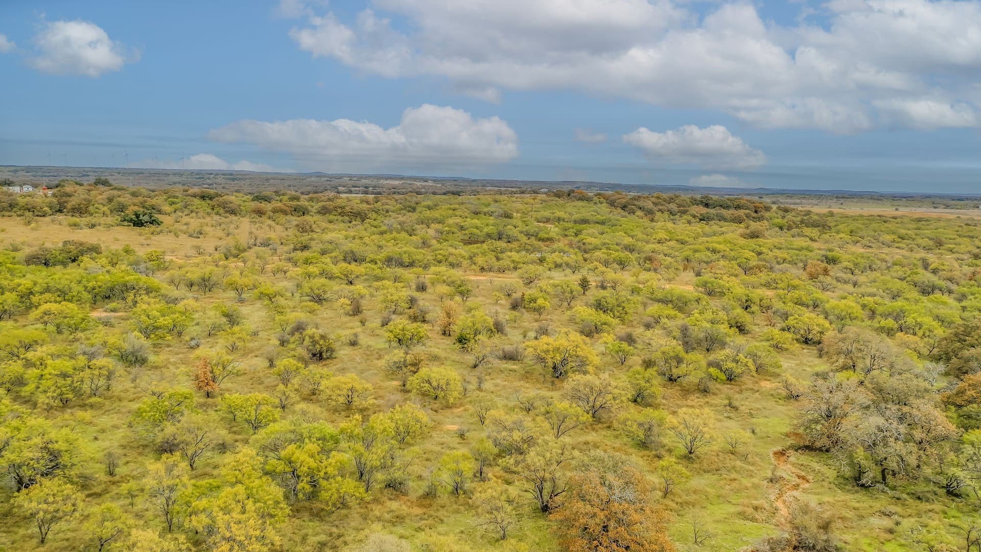 191 acres in Eastland County - photo 7