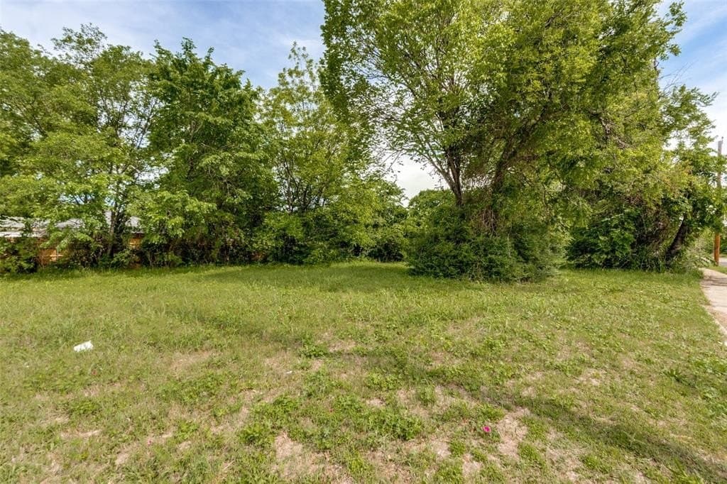 0.27 acres in Dallas County gallery image 3