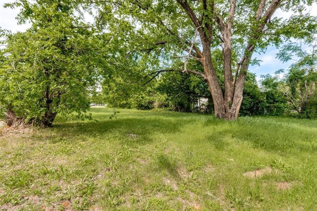 0.27 acres in Dallas County gallery image 4