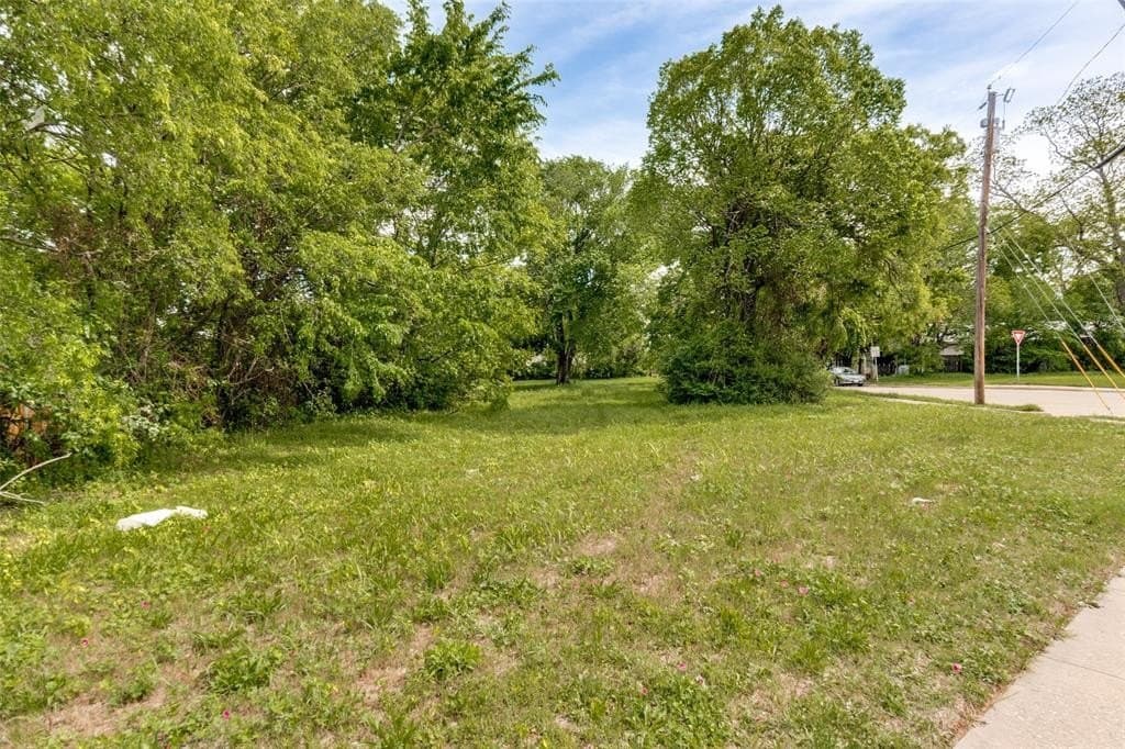 0.27 acres in Dallas County gallery image 2