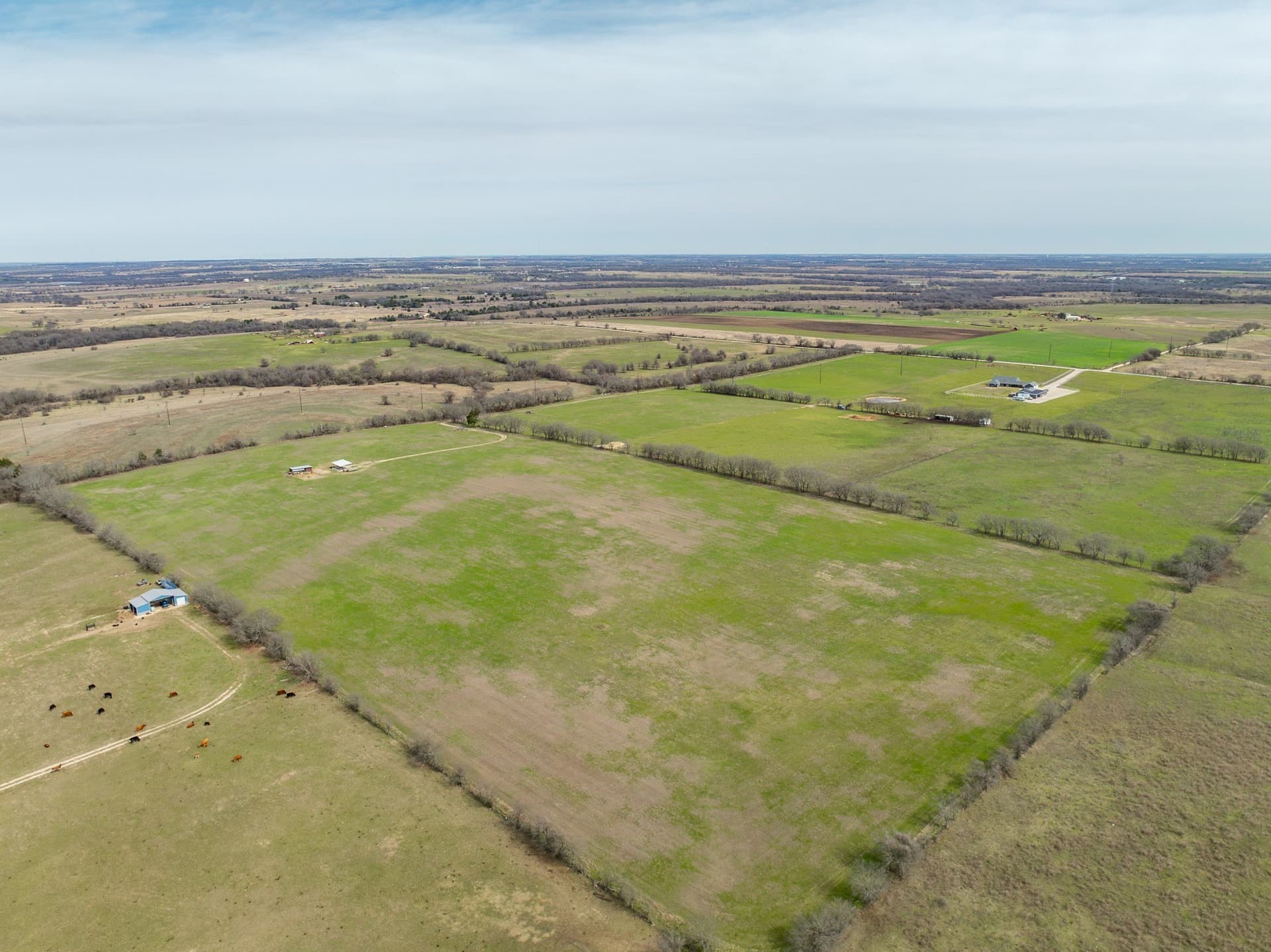29.42 acres in Hill County - photo 17